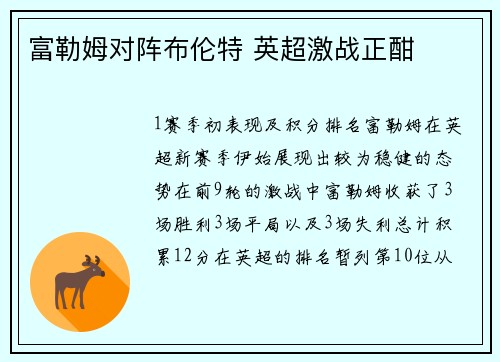 富勒姆对阵布伦特 英超激战正酣